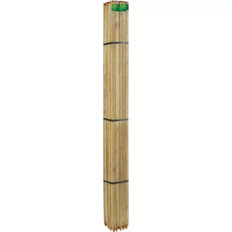 Akác termesztő karó akác M. 150 cm