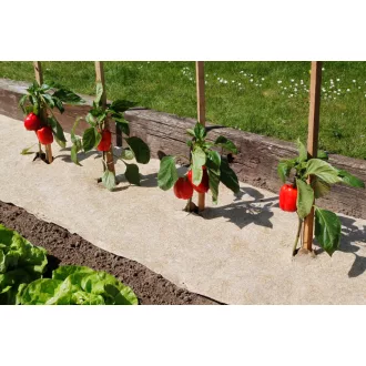 100%-ban természetes talajtakaró natúr 75 cm x 5 m