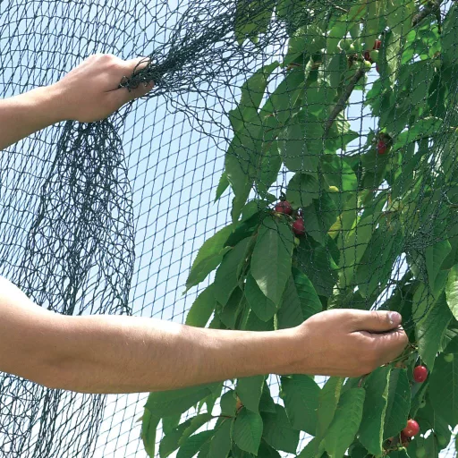 Erősített madárkár elleni védőháló zöld- fekete 5 x 12 m
