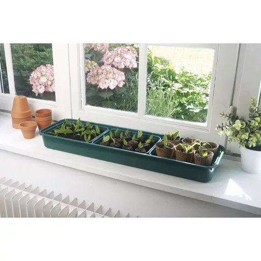 Ablakba helyezhető mini üvegházak zöld- színtelen 22 x 17,5 x 13 cm  x 3 db