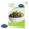 Bio Mustár Sinapis Alba 50g 