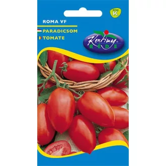 Paradicsom Róma VF