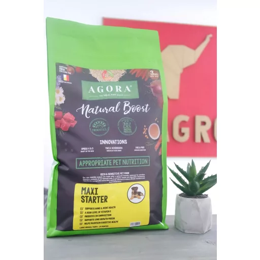 Agora Maxi Starter junior kutyáknak 12 kg