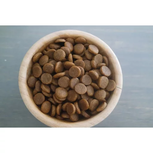 Agora Maxi Starter junior kutyáknak 12 kg