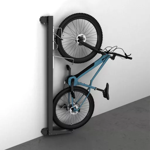 Biohort BikeLift Standard 